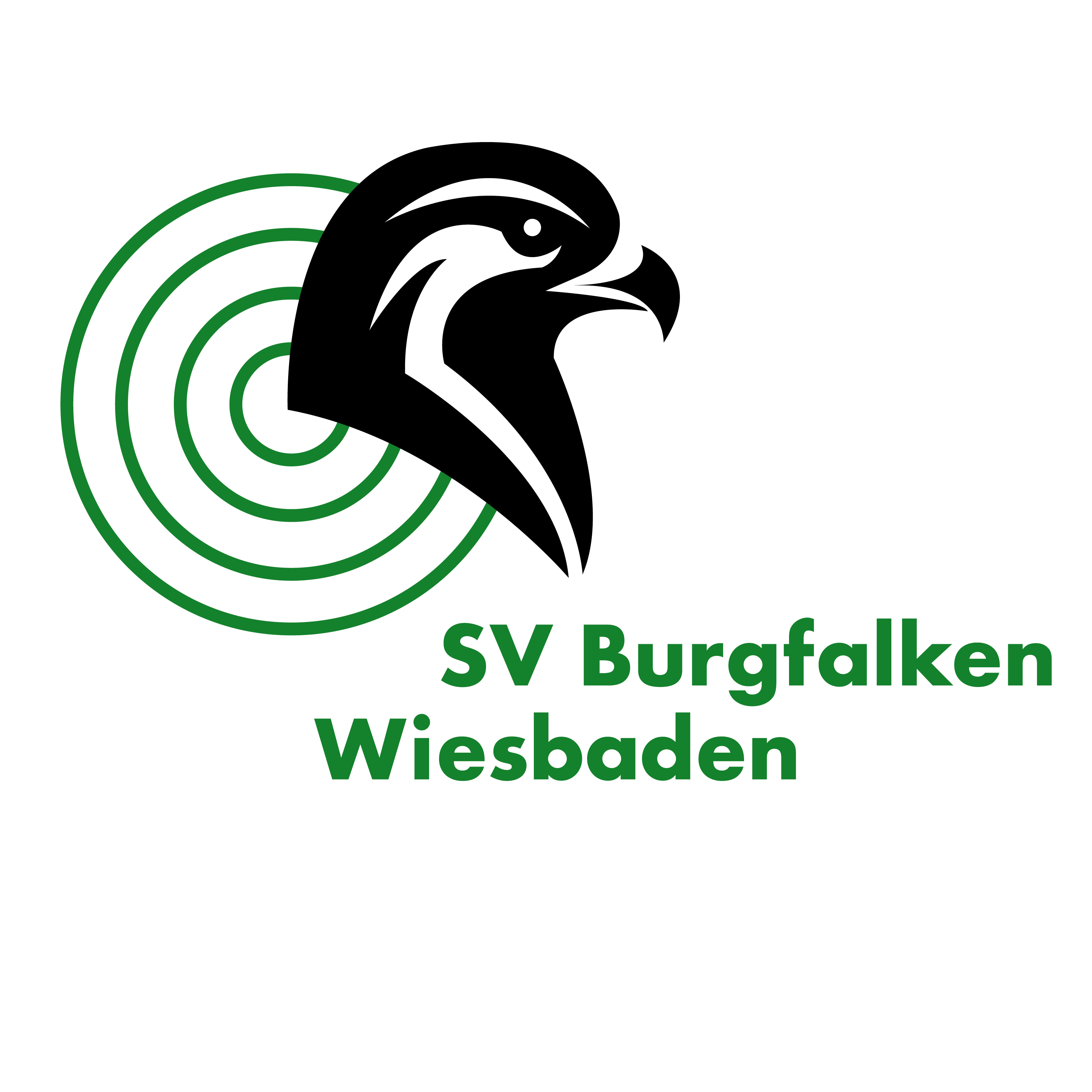 Burgfalken Wiesbaden